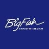 Big Fish Employer Services Logo
