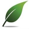 Big Green Logo