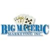 Big Maveric Marketing Logo