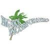Big Sky Logo