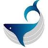 Big Wave Digital Logo