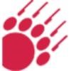 BigBear Logo