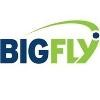 BigFly Logo