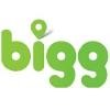 BiGG Group Logo
