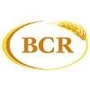 Bighorn Construction & Reclamation Logo