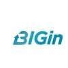 BIGin Digital Solutions Logo