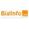 BigInfo Labs Logo