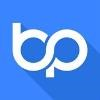 BigPay Logo