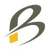 BIGSHOT Logo