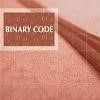 Binary Code Logo