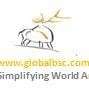 Bindroo Software and Consultants Logo