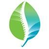 BioSpine Institute Logo