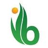 BioTE Medical Logo