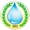 BIRD-UP Logo