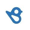 BirdEye Logo