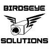 Birdseye Solutions Logo