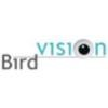 Birdvision Consulting Logo