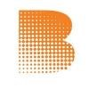 Birk Logo