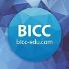 Birmingham International College of Canada Logo