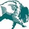 Bison Engineering Logo