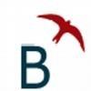 Bizense Software Technologies Logo