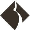 Black Diamond Networks Logo