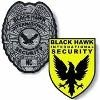 Black Hawk International Security Logo