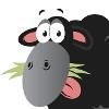 Black Sheep Utilities Logo