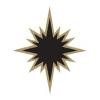 Black Star Farms Logo