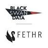 Black Swan Data Logo