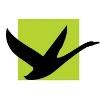 Black Swan Health Logo