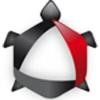 Black Turtle Services Logo