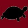 Black Turtle Logo