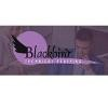 Blackbird Technical Staffing Logo