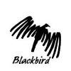 Blackbird Technologies Logo