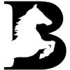 Blackcoffer Logo