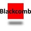 Blackcomb Consultants Logo