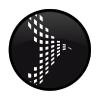 Blackdivine Logo