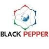 BlackPepper Technologies Logo