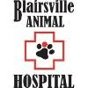 Blairsville Animal Hospital Logo