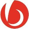 Blaze Logo