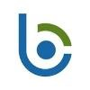 Bloom Consulting Services Logo