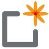 BloomBoard Logo