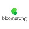Bloomerang Logo