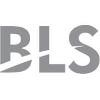 BLS International Services Logo