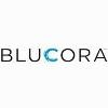 Blucora Logo