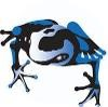 Blue Frog Solutions Logo