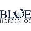 Blue Horseshoe Solutions Logo