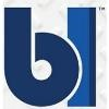 Blue Line Protection Group Logo