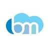 Blue Maven Group Logo